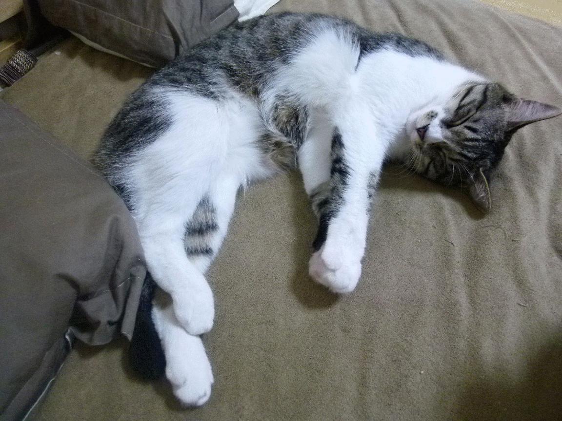 华体会app-冷面刺客克莱！三记三分如冰锥刺穿爵士，沉默中完成致命切割