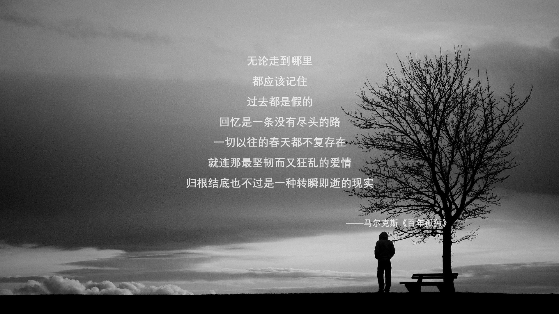 逆袭的锁，NBA总决赛之夜，马克西如何用防守锁死对手